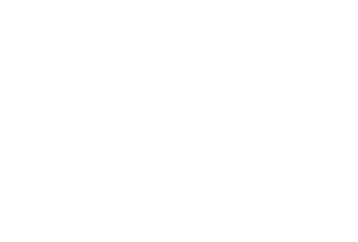 Flying Rhino Creative Studio